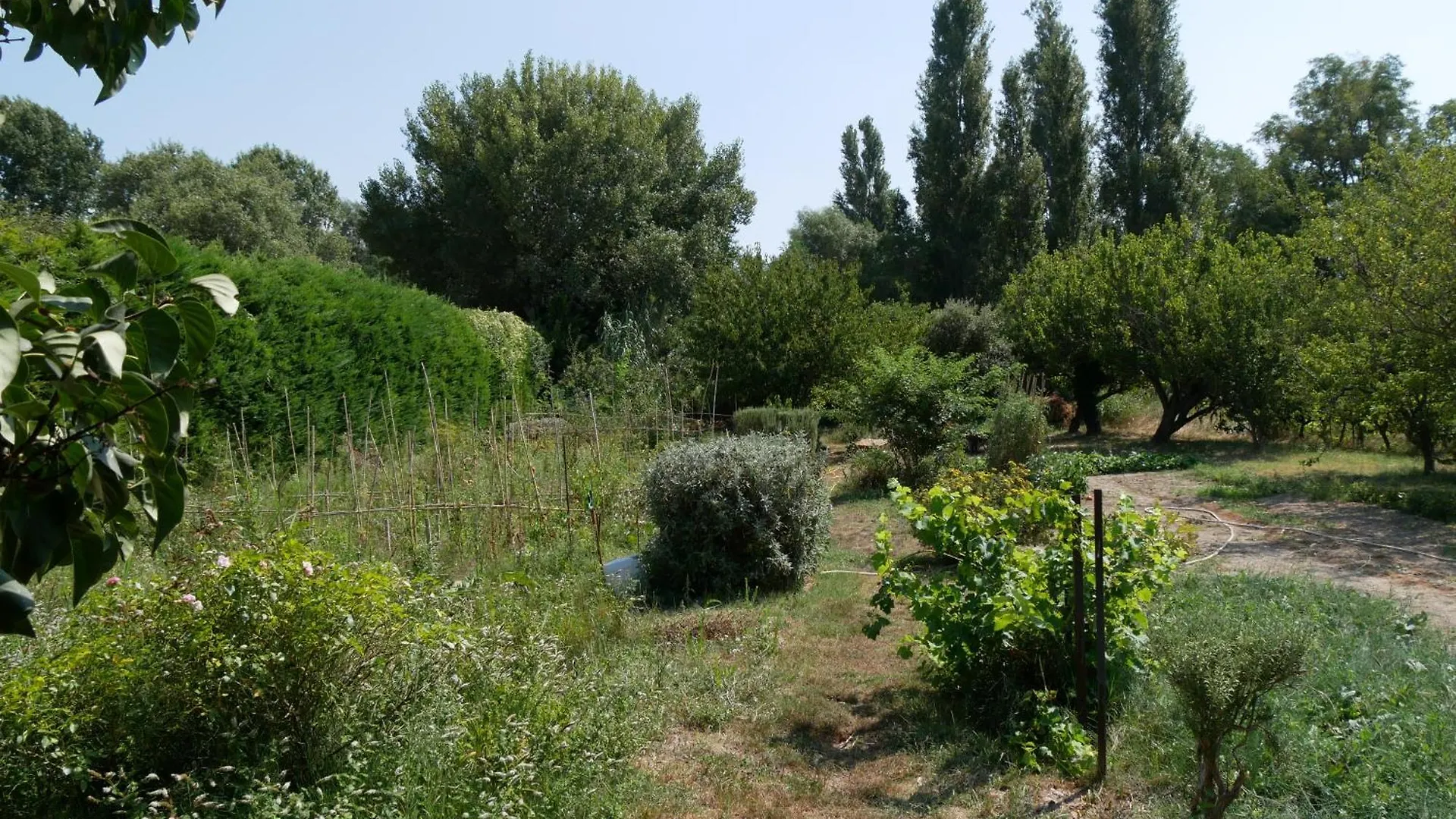 Un Doux Chemin Villa Valreas France
